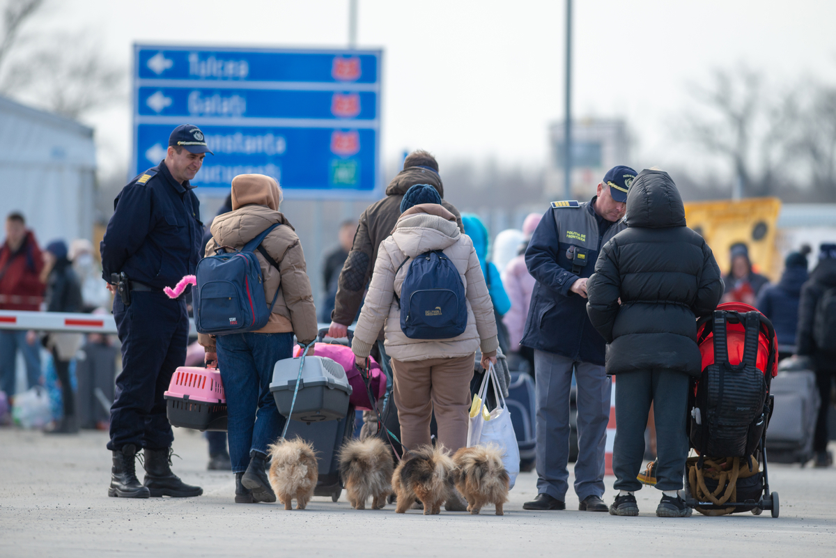 Group of people with dogs